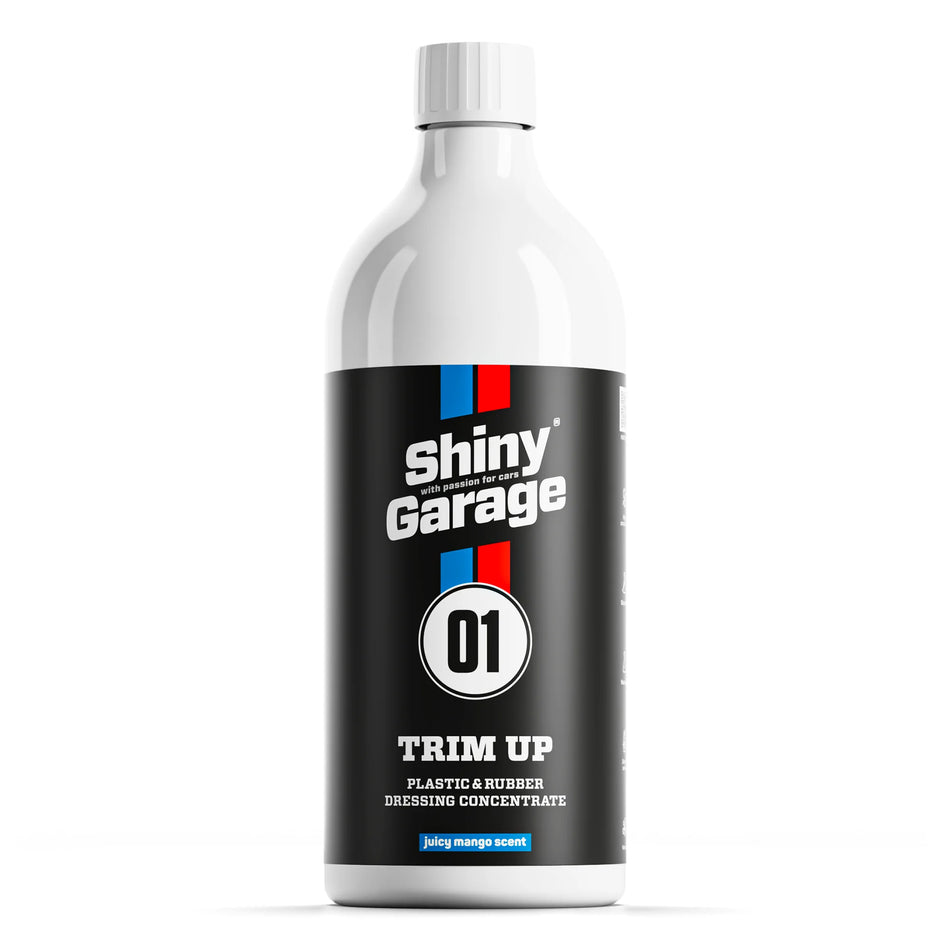 Shiny Garage Trim Up